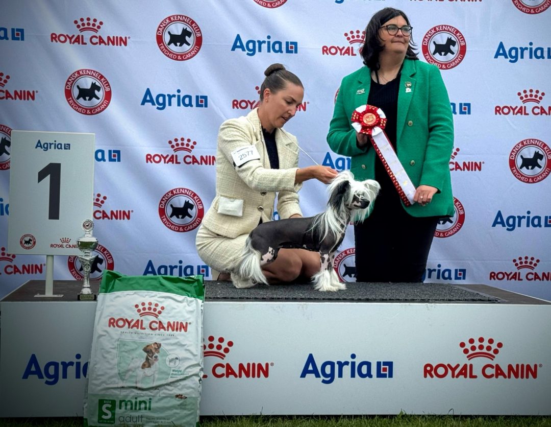 Featured image for “WINNER OF GROUP 9!”