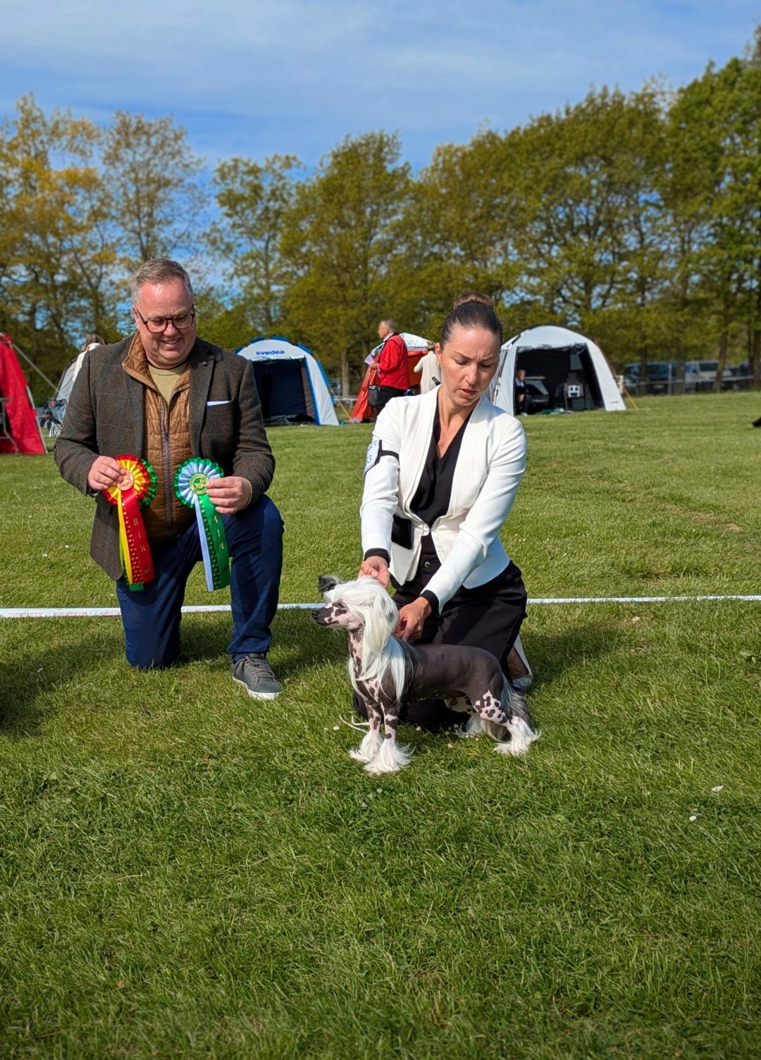 Featured image for “Nalta BOS with CAC & J-CACIB!”